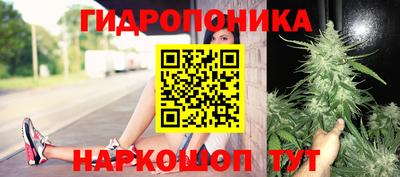 ALPHA PVP Лесосибирск