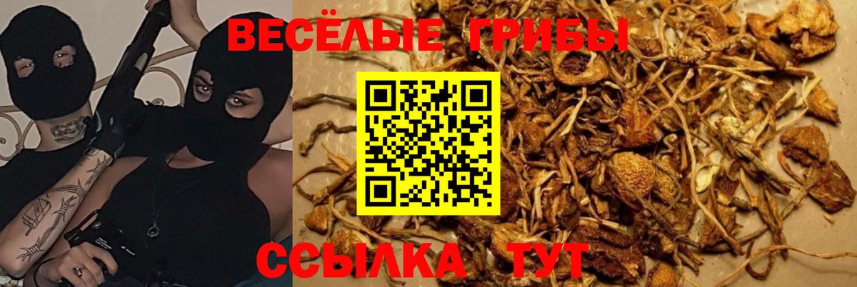 Псилоцибиновые грибы Magic Shrooms Заводоуковск