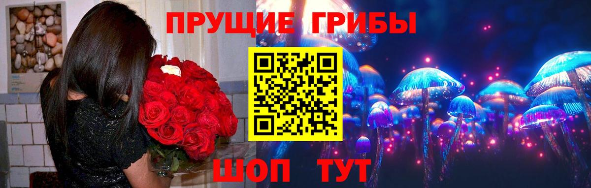 Псилоцибиновые грибы Psilocybe  Вход с VPN  Заводоуковск 